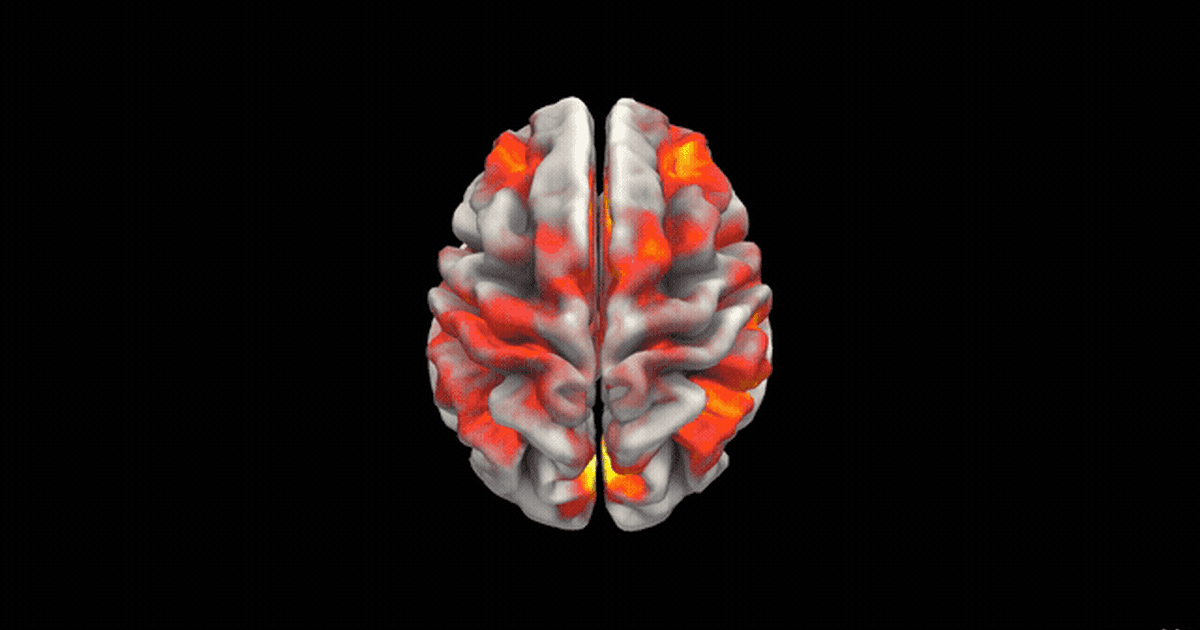 Adneural — fMRI-Encoded Brains Meet 200 Agents
